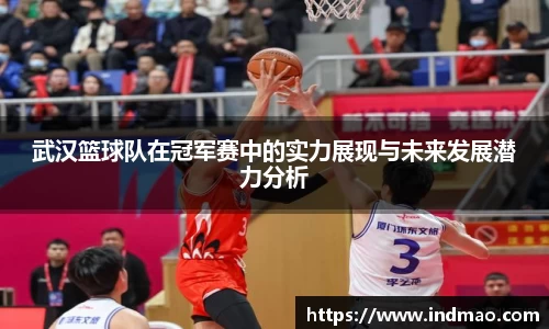 武汉篮球队在冠军赛中的实力展现与未来发展潜力分析