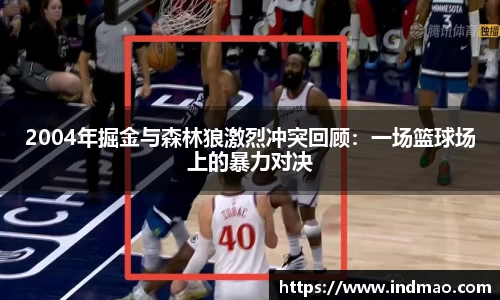 2004年掘金与森林狼激烈冲突回顾：一场篮球场上的暴力对决