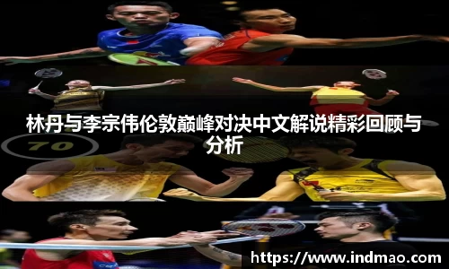林丹与李宗伟伦敦巅峰对决中文解说精彩回顾与分析
